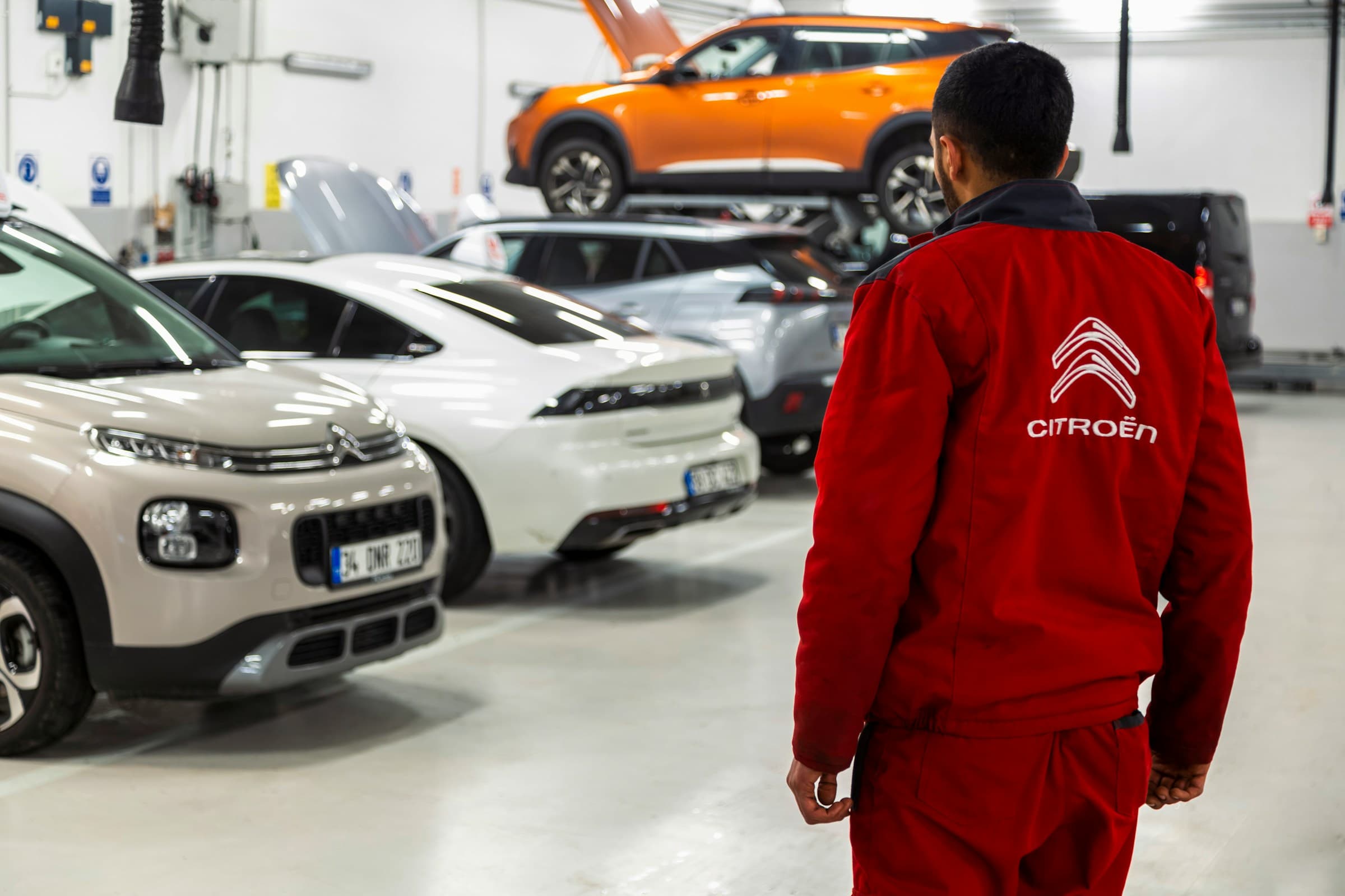 Mechanic inspecting vehicle