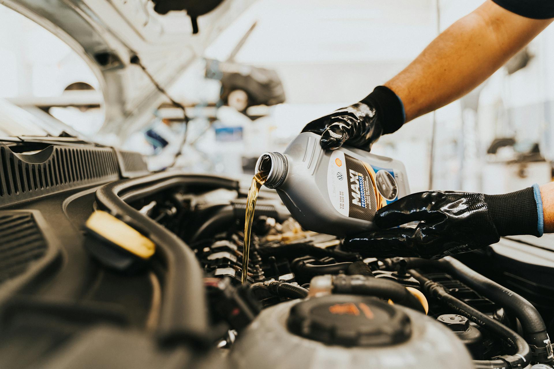 Lexus service history check