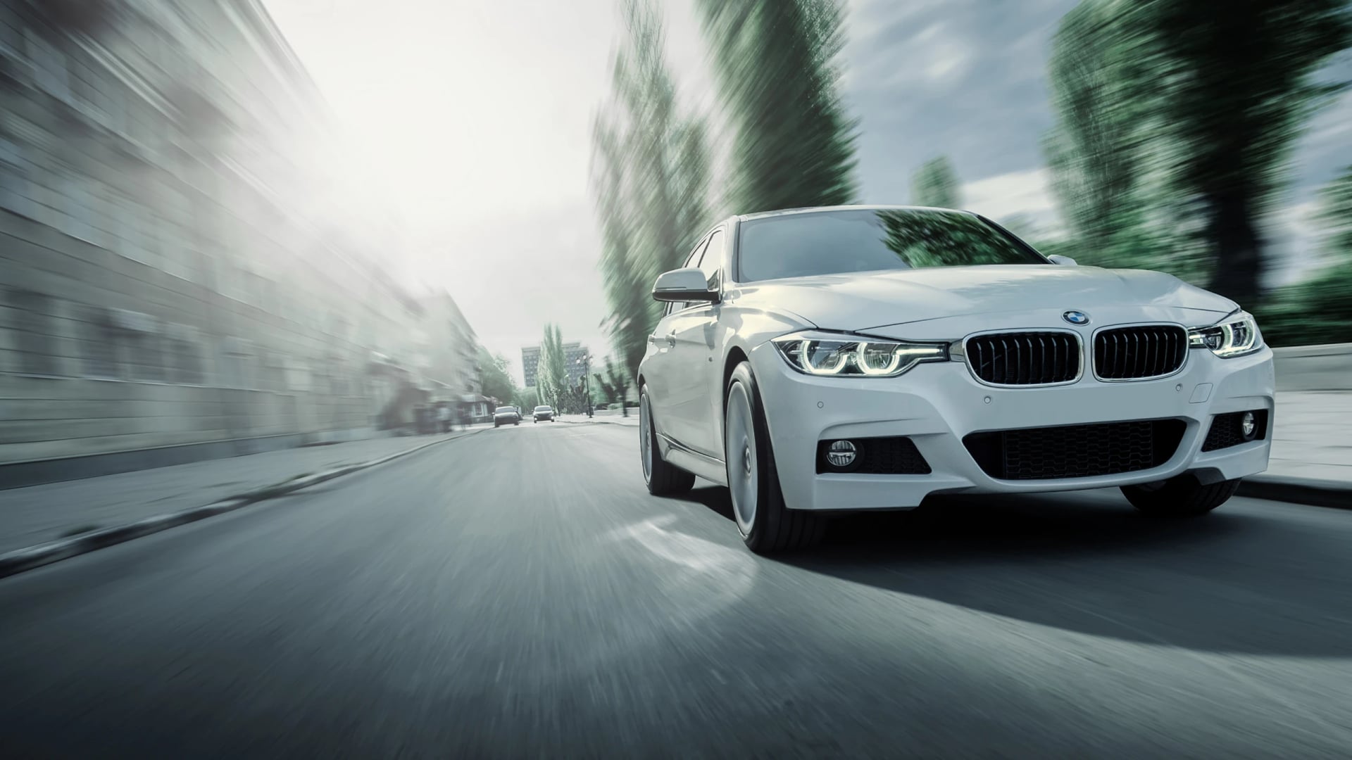 BMW service history check