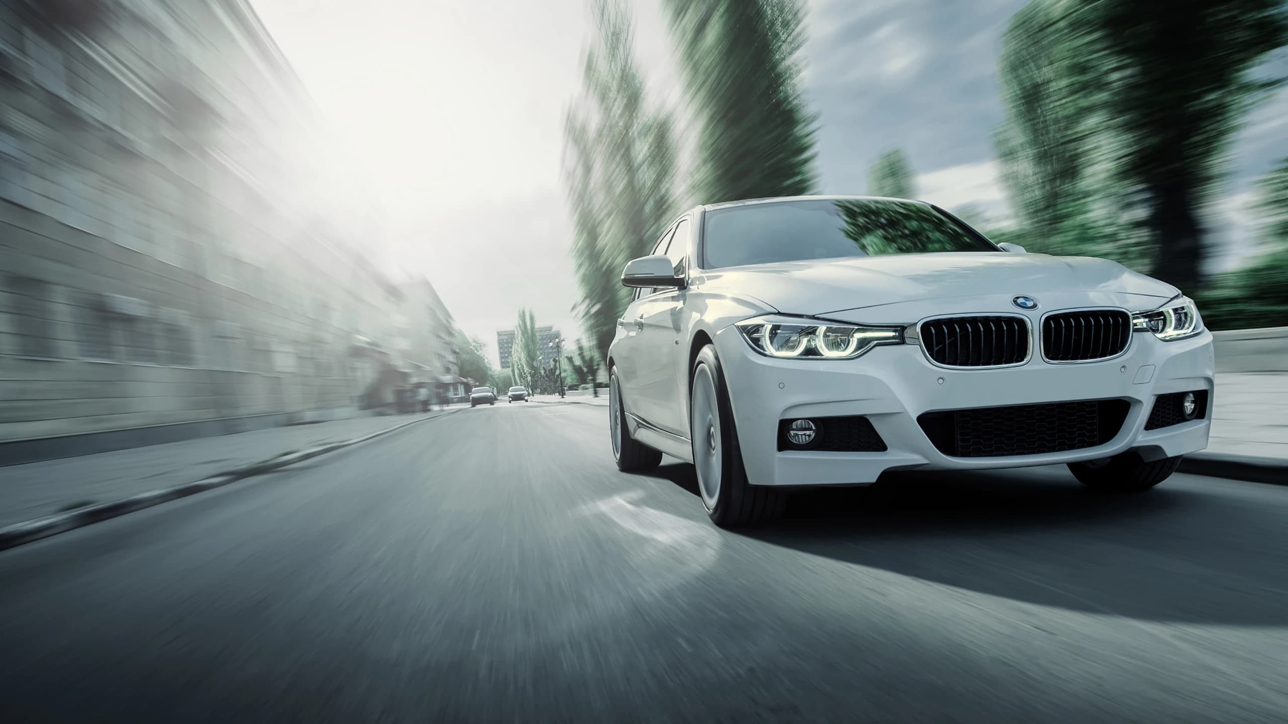 BMW service history check