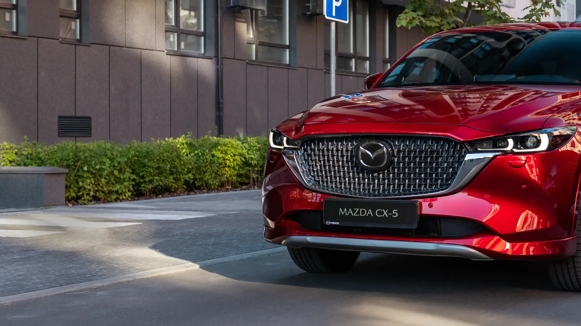 Mazda service history check