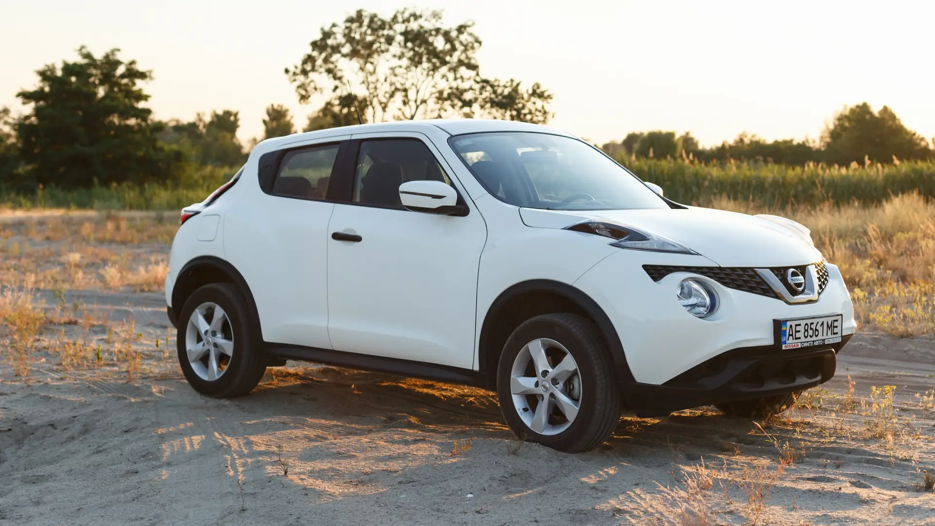 Nissan service history check