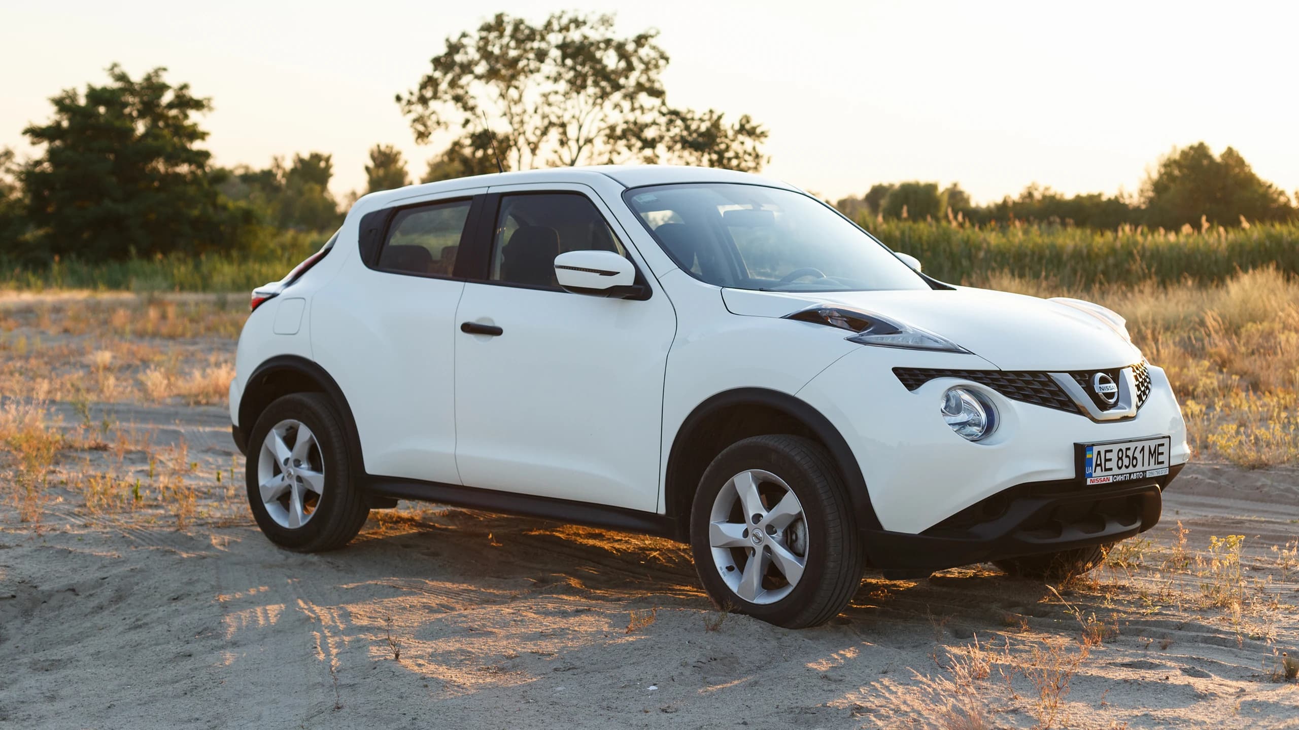 Nissan service history check