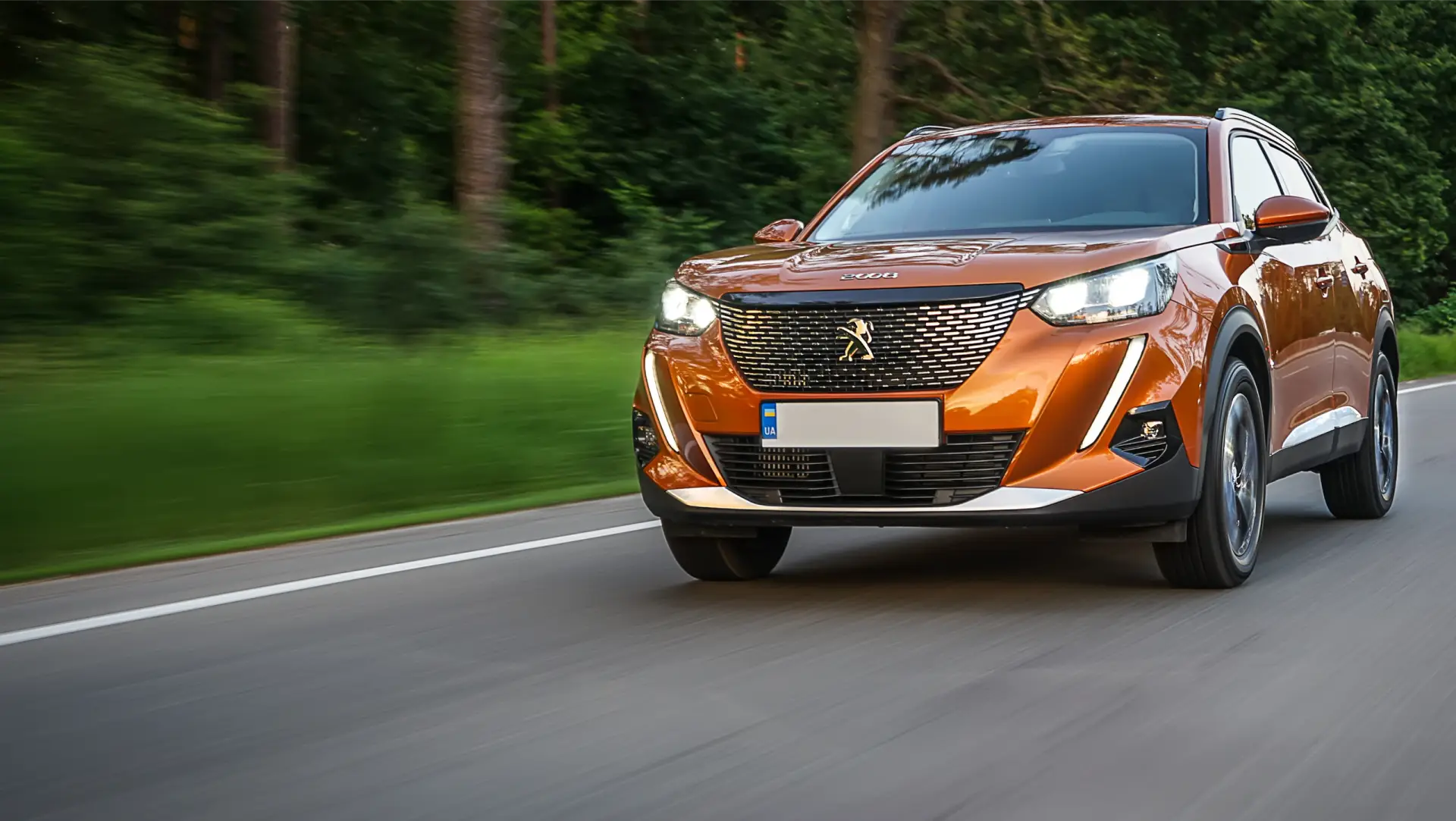 Peugeot service history check