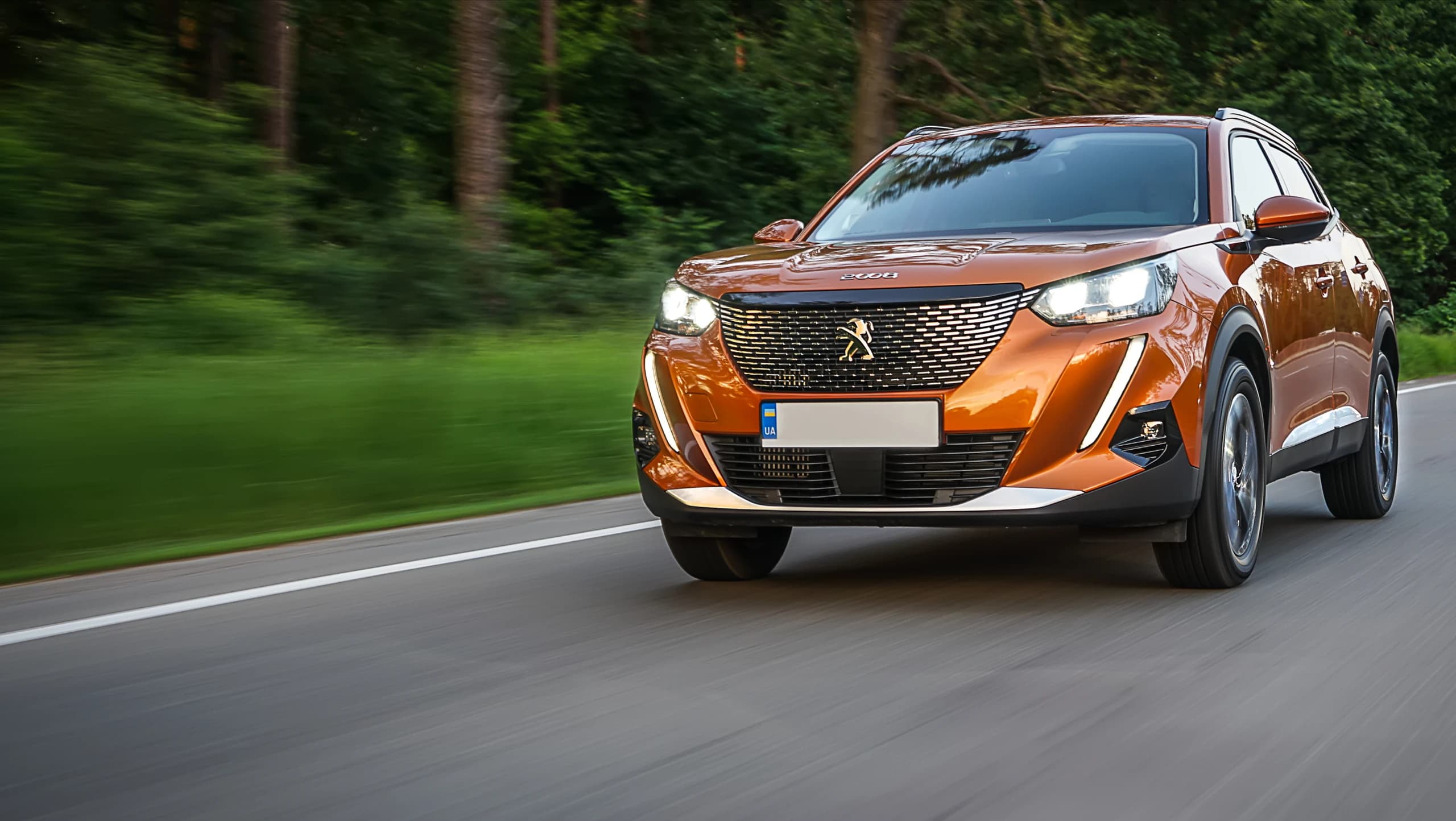 Peugeot service history check